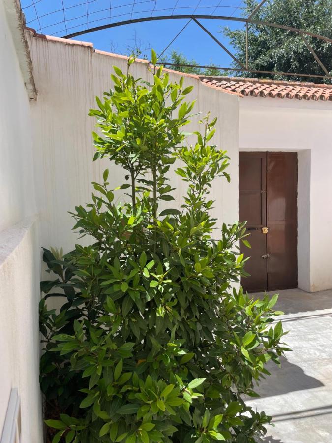 La Casita de San Nicolás Granada Exterior foto